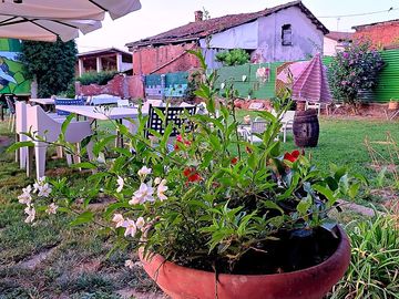 Restaurant garden