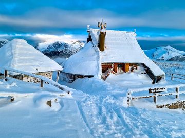 A winter morning