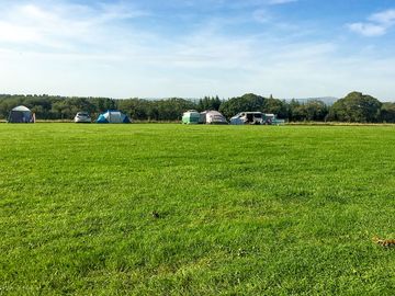 Grass pitches