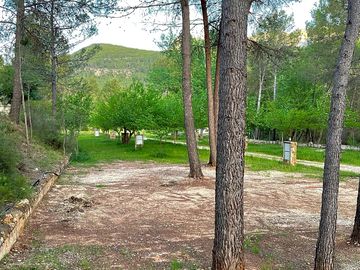 Tree-lined pitches