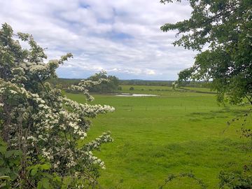 Part of a working farm