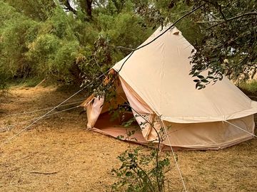 The bell tent in the enchanted forest
