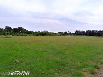 Pitching field