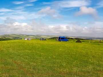 Grass pitches on site