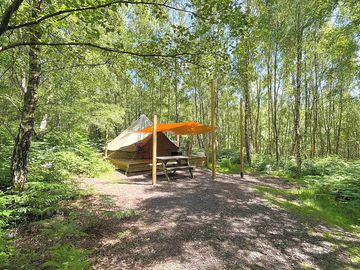 Bell tent in the woods