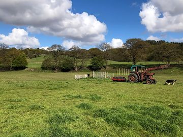 Camping field