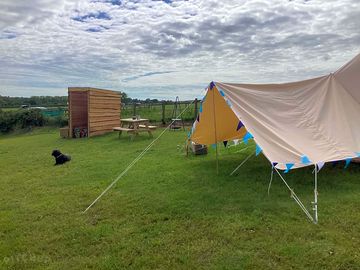 Our 'beech' bell tent