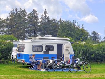 Ballum Camping standaard kampeerplek