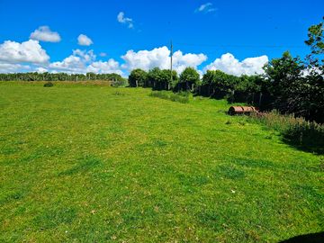 Site