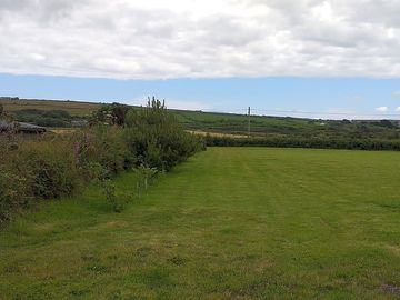 The field