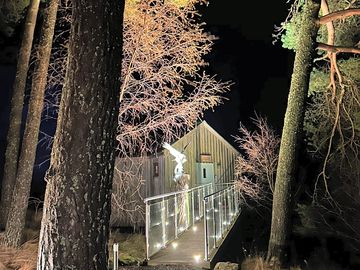 Glass walkway to Scots Pine