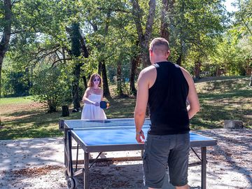 Ping-pong table