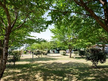 Allées arborées du camping atc routes du monde à arcachon la hume © marine monteils
