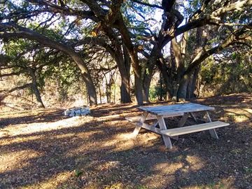 Picnic table under the trees