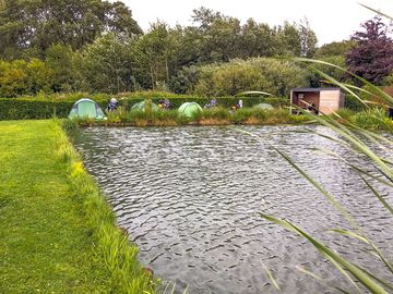 Pitches by the pond