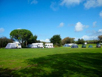 Blue sky and green grass