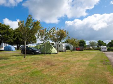Medium electric grass pitch