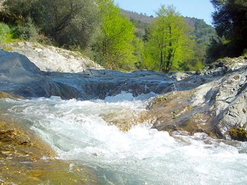 Petra pinzuta river