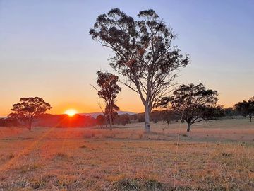 Southern queensland landscapes