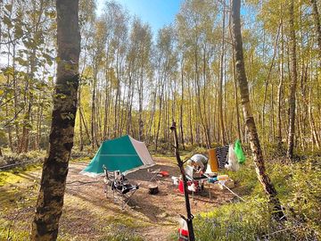 Faraway tent pitch at beech estate campsite