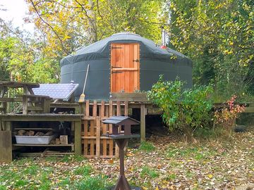The yurt's leafy pitch