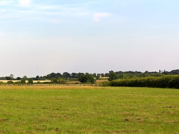 View across the site