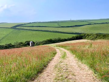 Path to extra pitches