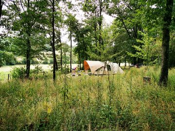 Pitches in the forest
