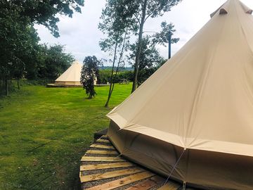 Bell tents by the trees