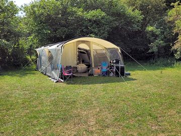 Our pitch