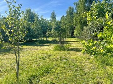 Pitches surrounded by trees