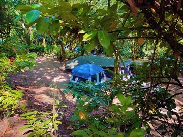 Tent pitch