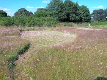 Pitch 2