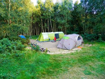 Double tent pitch in the woods