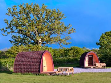 Camping pods next to the trees