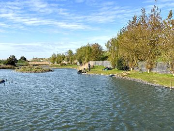 Fishing pond on site