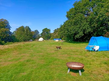 Main field
