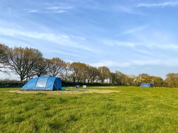 Spacious pitches to relax, play or explore