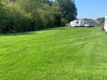 Grassy pitches