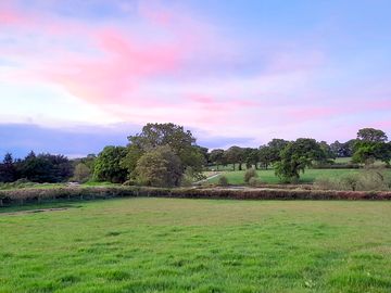 Corner of field looking over the nearby pond