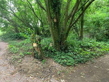 Look out for the little signs with a white tipi on to find the entrance