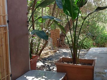 Outdoor toilet