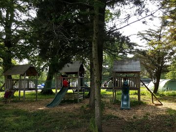 Play area among the trees