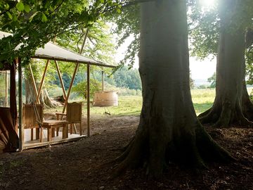 Encampment in the trees