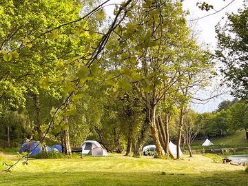 Tent pitches by the lake
