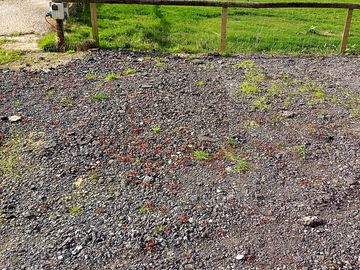 Hardstanding tourer pitch