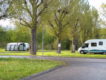 Pitches among the trees