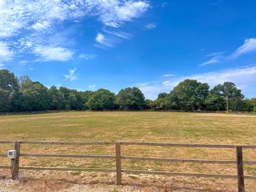 Field