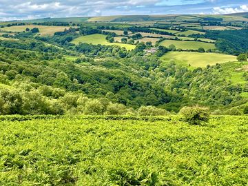 Our gorgeous local countryside - perfect for walking and cycling from the campsite