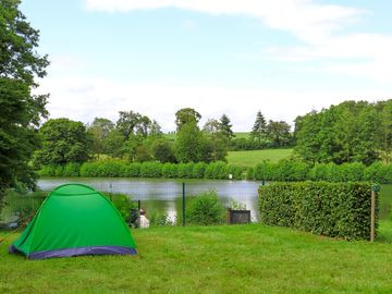 Grass pitches